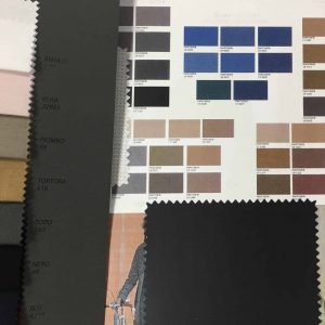COLOR TREND